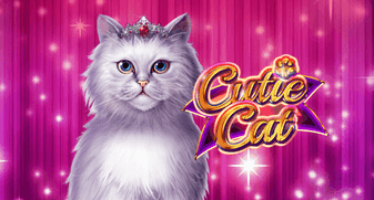 Cutie Cat