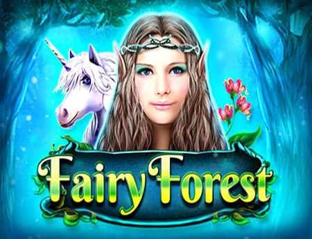 Fairy Forest