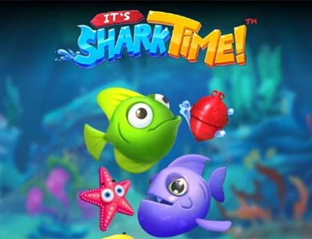 It's Shark Time!