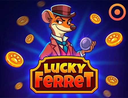 Lucky Ferret