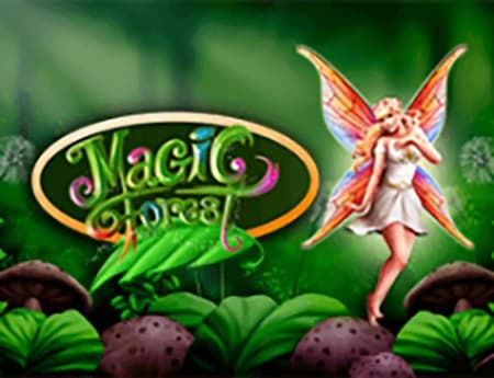 Magic Forest