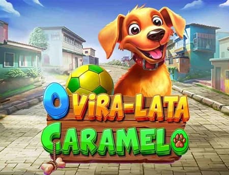O Vira-lata Caramelo