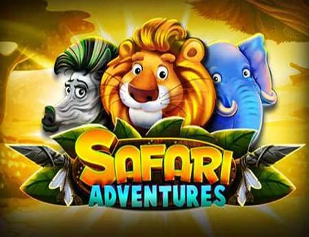 Safari Adventures